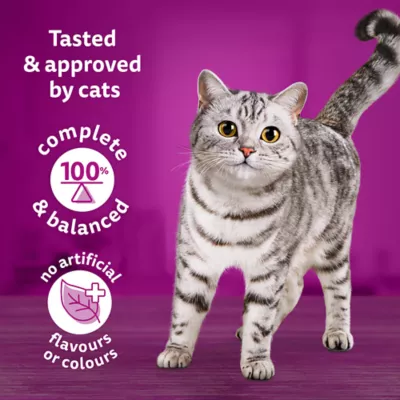 Product Whiskas Dry Cat Food Meaty Selections