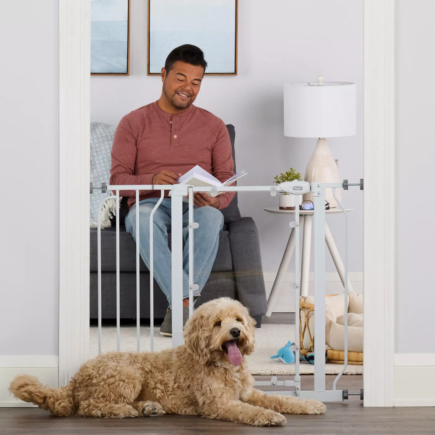 Carlson pet gate best sale