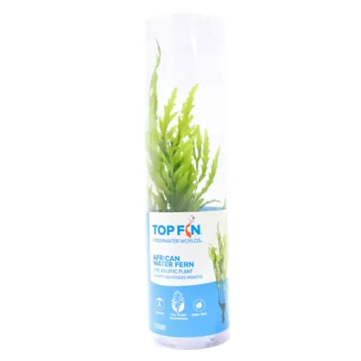 Product Top Fin® African Water Fern Live Plant
