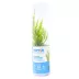 Top Fin® African Water Fern Live Plant image thumbnail 3