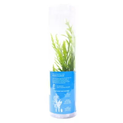 Product Top Fin® African Water Fern Live Plant