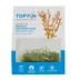 Top Fin® Tissue Culture Rotala Vietnam H'ra Live Aquatic Plant image thumbnail 3