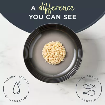 Product Reveal All Life Stage Wet Cat Food in Broth - 2.47 Oz, Limited Ingredient, Grain Free
