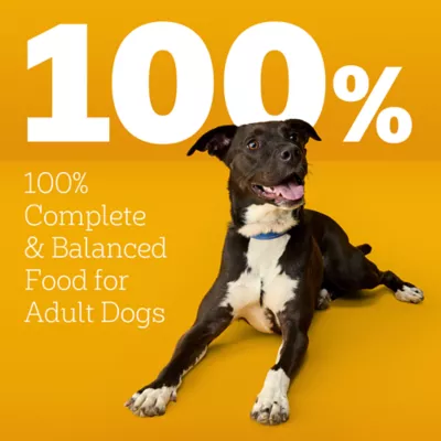 Product Pedigree® High Protein Adult Dry Dog Food - Lamb & Beef