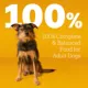 Product Pedigree® Complete Nutrition Adult Dry Dog Food - Chicken, Rice & Vegetables