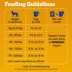 Pedigree® Complete Nutrition Adult Dry Dog Food - Chicken, Rice & Vegetables image thumbnail 10