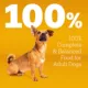 Product Pedigree® Complete Nutrition Small Breed Adult Dry Dog Food - Chicken, Rice & Vegetables