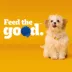 Pedigree® Growth & Protection Puppy Dry Dog Food - Healthy Development, image thumbnail 4