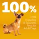 Product Pedigree® Complete Nutrition Small Breed Adult Dry Dog Food - Steak & Vegetables