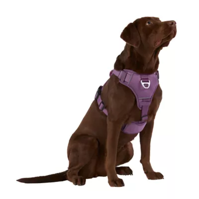 Product Arcadia Trail™ Neoprene Dog Harness - Reflective, Water-Resistant