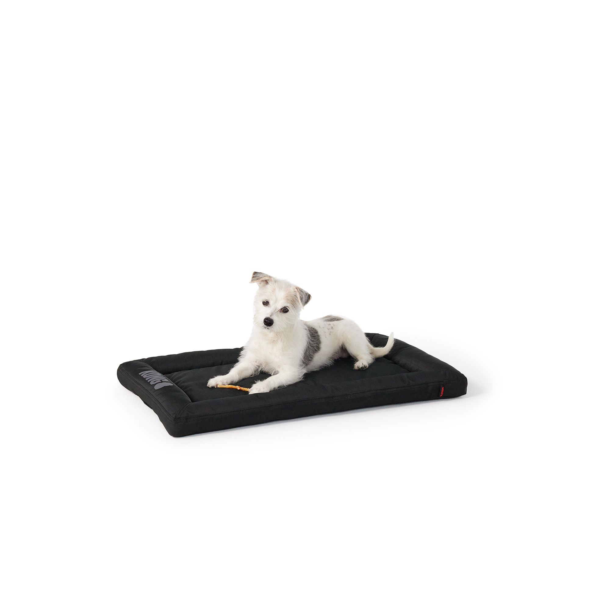 Kong dog shop bed petsmart