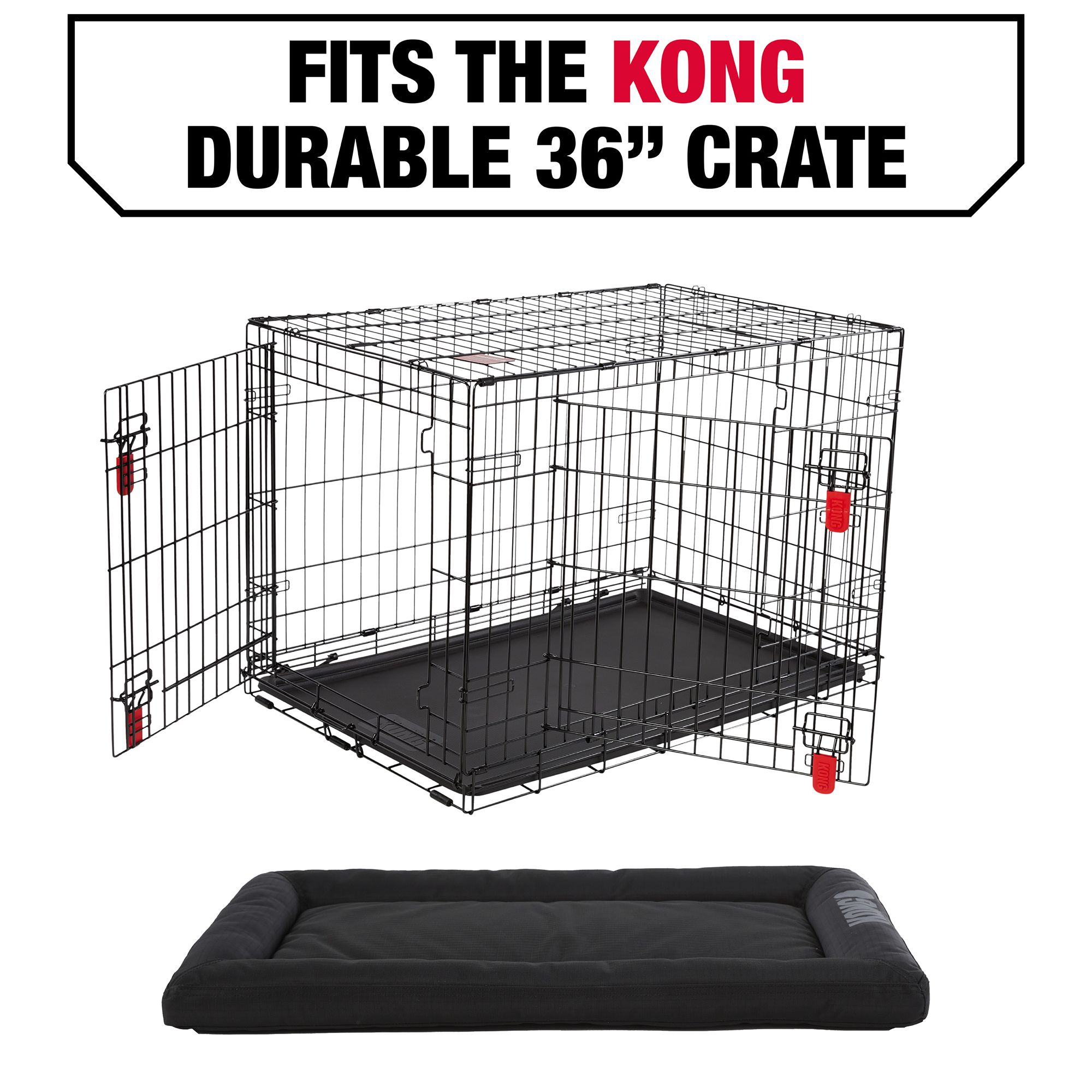 Large kong crate hotsell