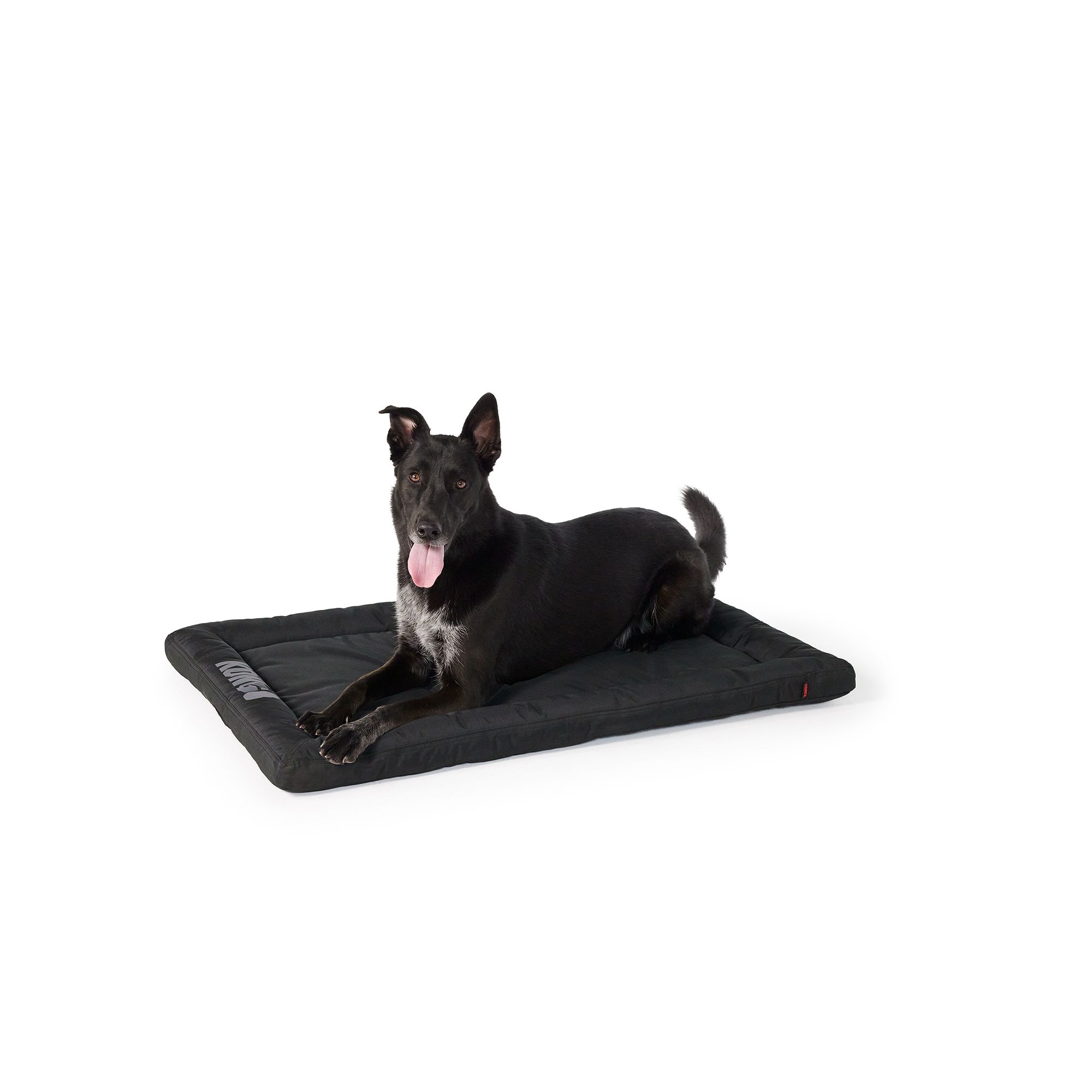 Cooling mat for clearance dogs petsmart