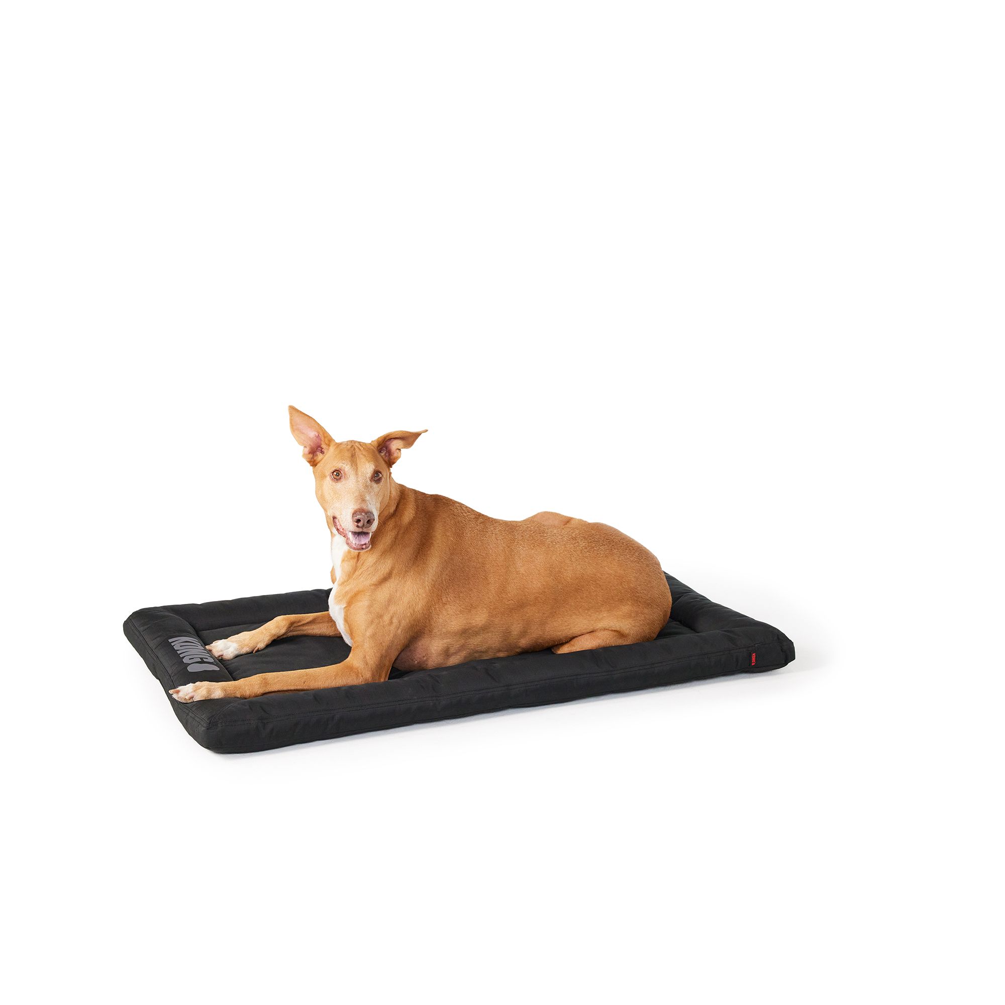 Kong durable crate on sale mat