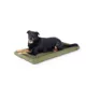 Product KONG® Durable Crate Dog Mat