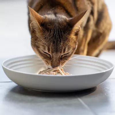 Product Reveal Limited Ingredient All Life Stage Wet Cat Food in Gravy - Grain Free, 2.47 oz