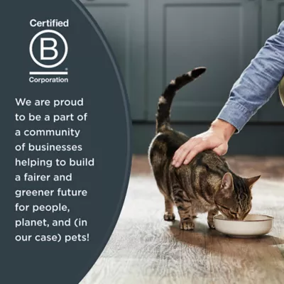 Reveal All Life Stage Wet Cat Food in Broth - 2.47 Oz, Limited Ingredient, Grain Free - Image 7