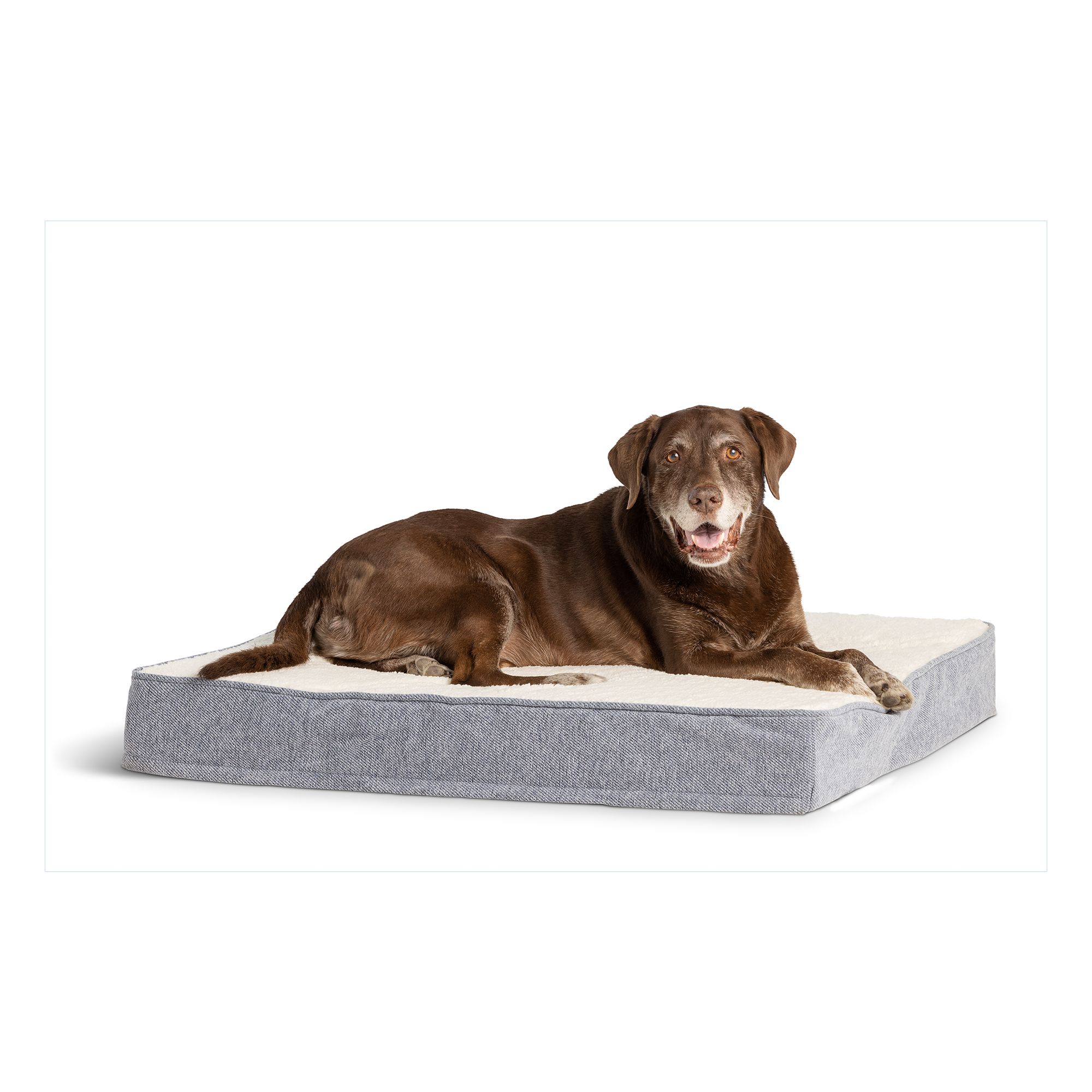 Petsmart memory shop foam dog bed