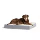 Product Top Paw® Orthopedic Mattress Dog Bed