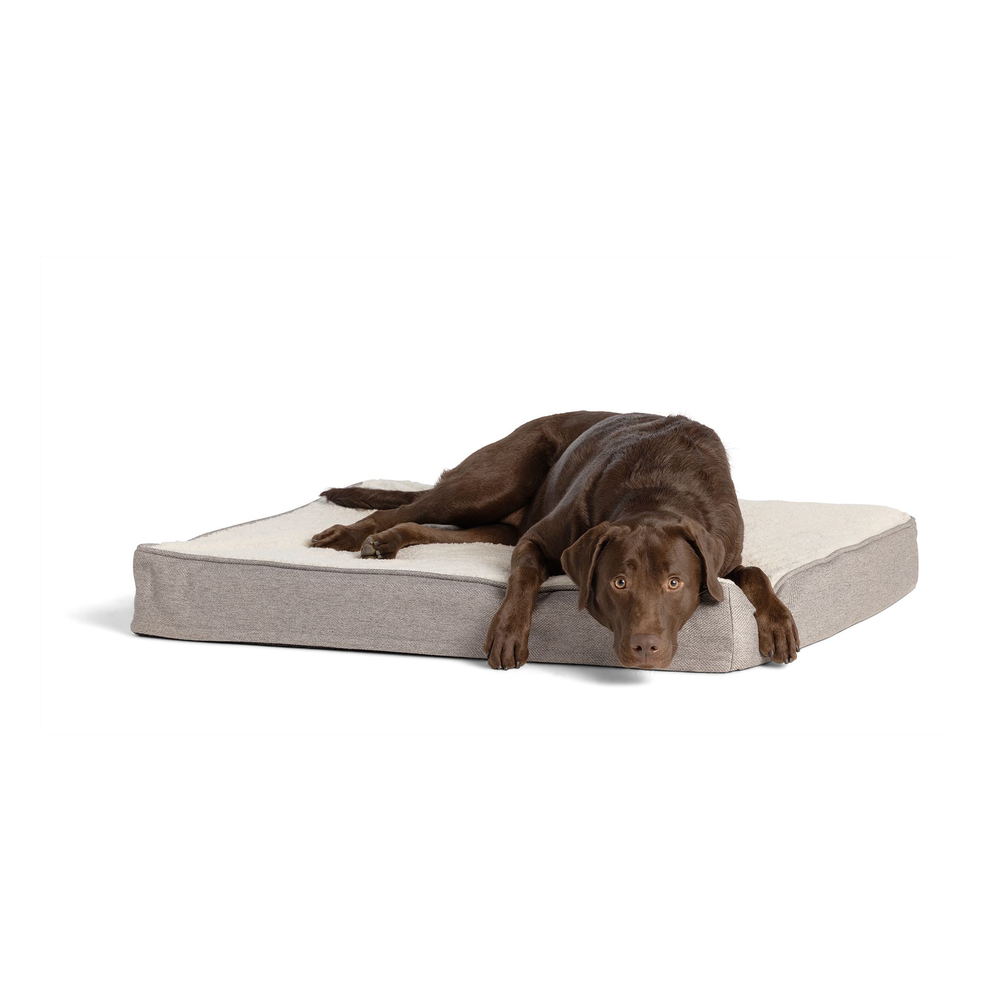 Top paw store orthopedic dog bed