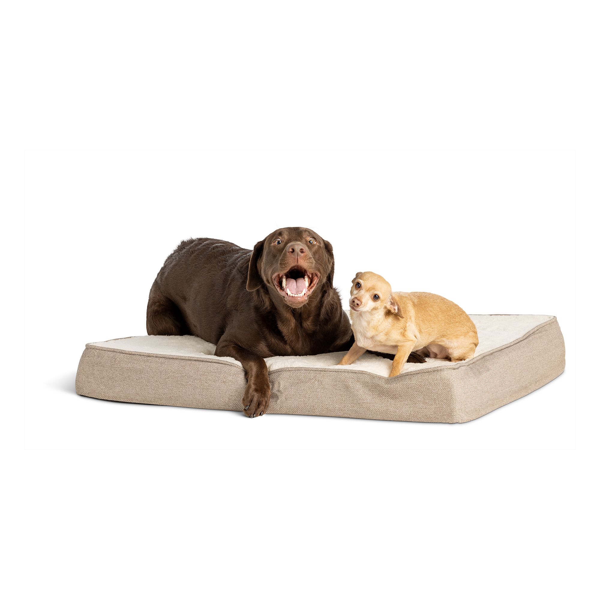 Petsmart orthopedic outlet bed