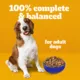 Product Pedigree Vitality+ Adult Hearty Beef and Vegetable Flavour Food For Dogs