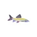 GloFish® Rainbow Shark image thumbnail 4
