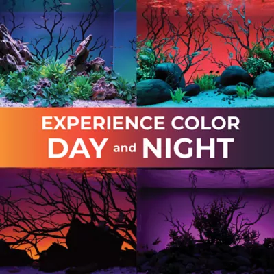 Current USA ColorCast Accent LED Light - Image 2