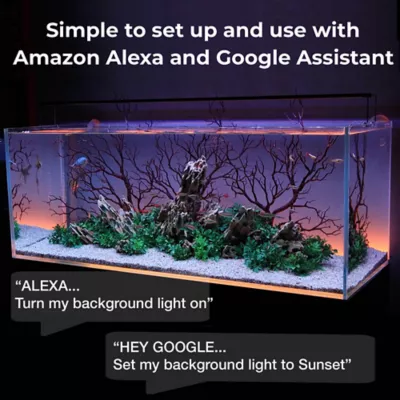 Current USA ColorCast Accent LED Light - Image 4