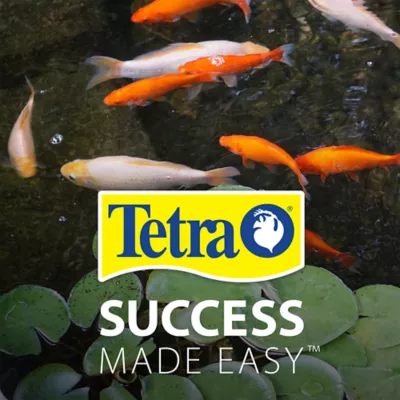 Product Tetra Fountain Pump