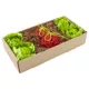 Product Oxbow Enriched Life Small Pet Garden Dig Box