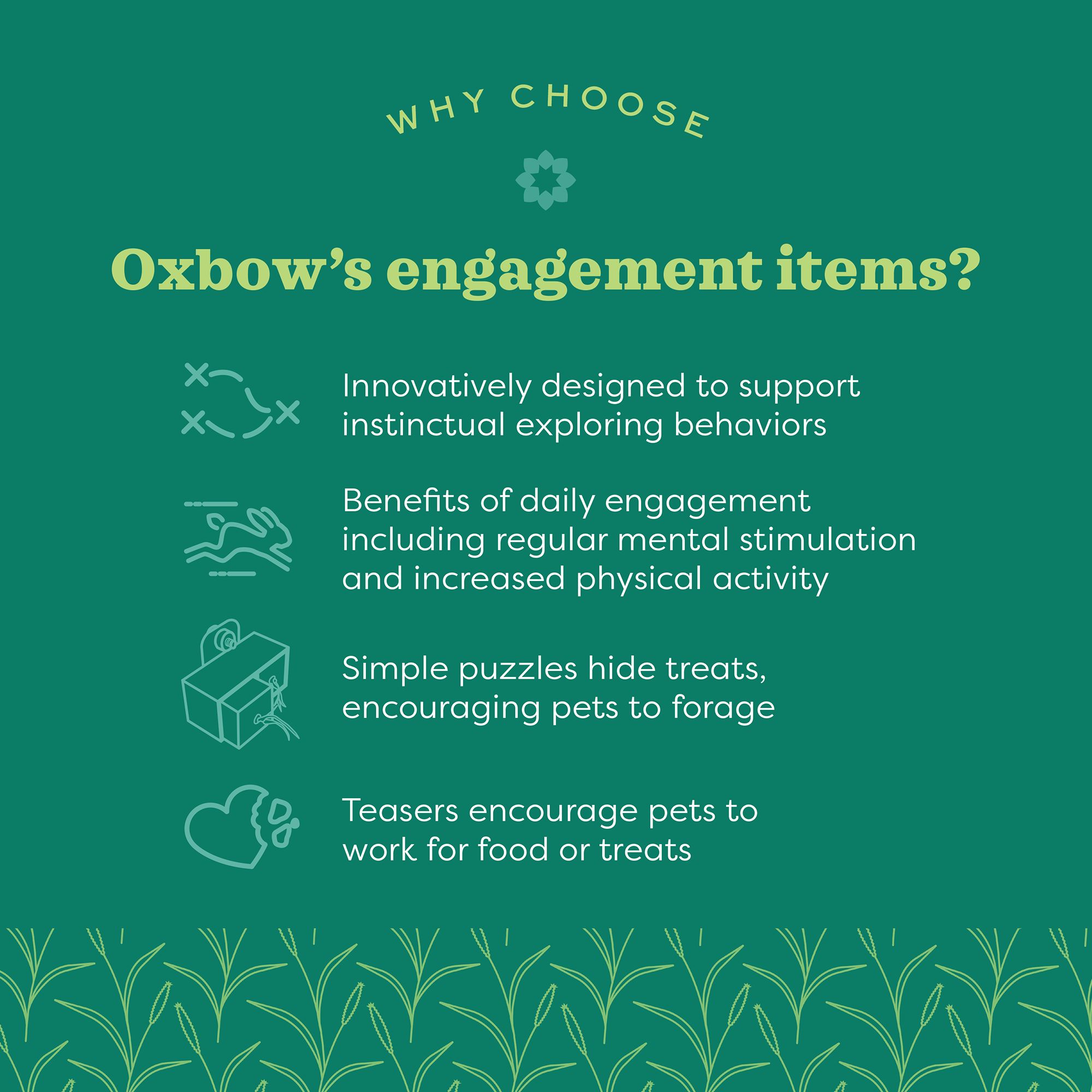 Oxbow Enriched Life Small Pet Garden Dig Box Foraging Dig Box - thumbnail 4