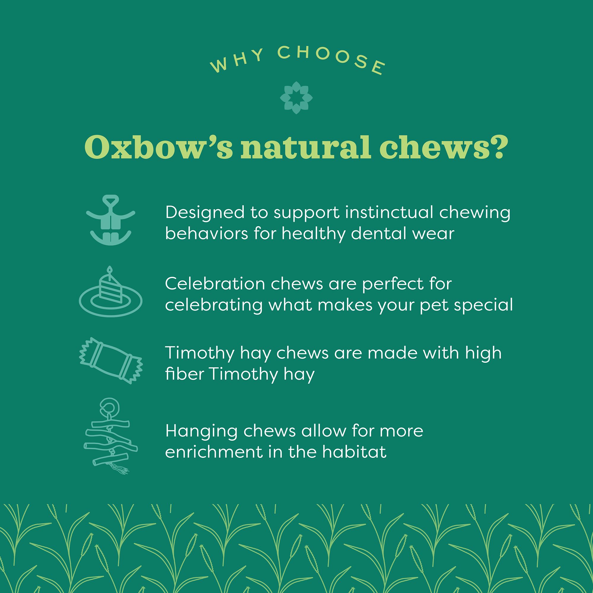 Oxbow Enriched Life Small Pet Ox Blocks Wood Chew Blocks - thumbnail 4