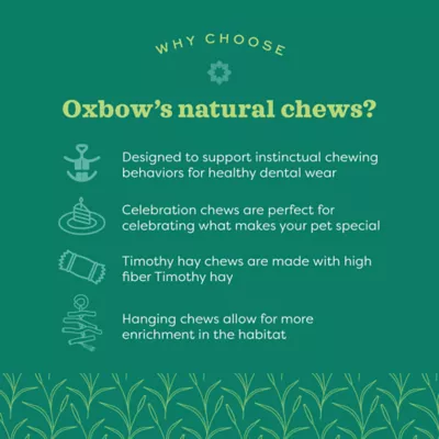 Product Oxbow Enriched Life Small Pet Ox Blocks