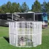 Cardinal Gates Portable Outdoor Pet Pen image thumbnail 3