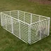 Cardinal Gates Portable Outdoor Pet Pen image thumbnail 5