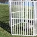 Cardinal Gates Extension Portable Outdoor Pet Pen image thumbnail 3