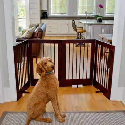 Cardinal Gates Freestanding Tall Pet Gate