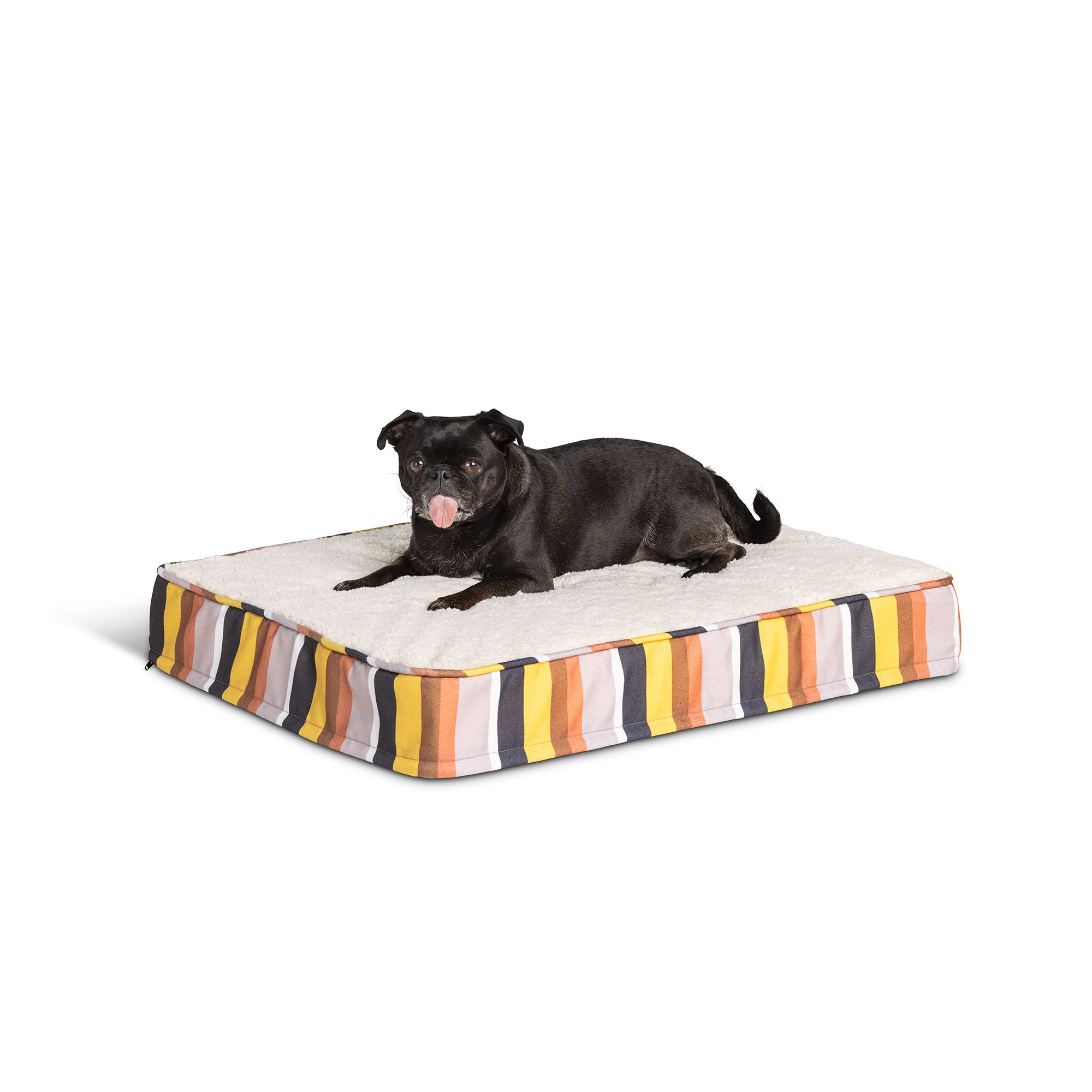 Petsmart top paw orthopedic bed sales