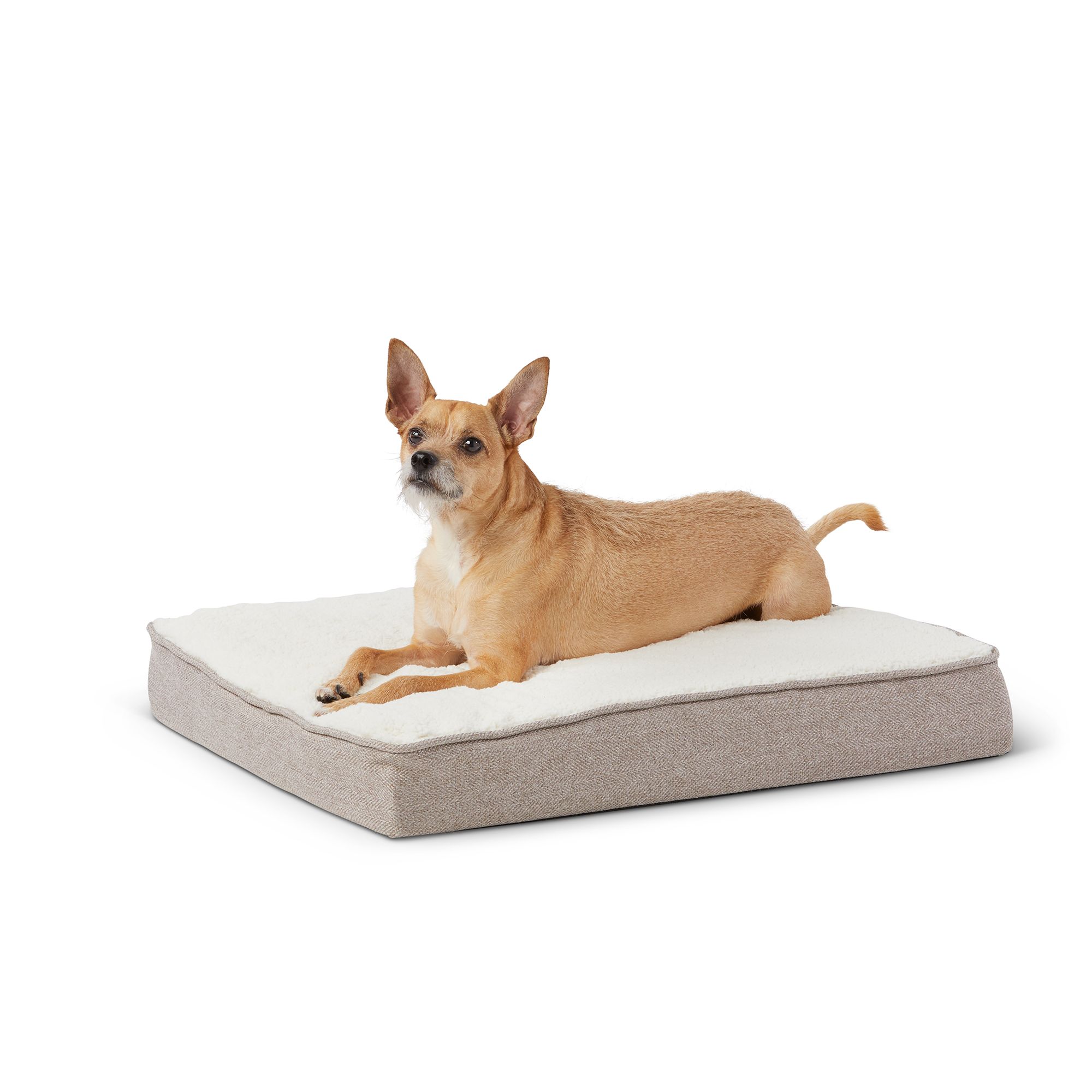 Top paw memory shop foam dog bed