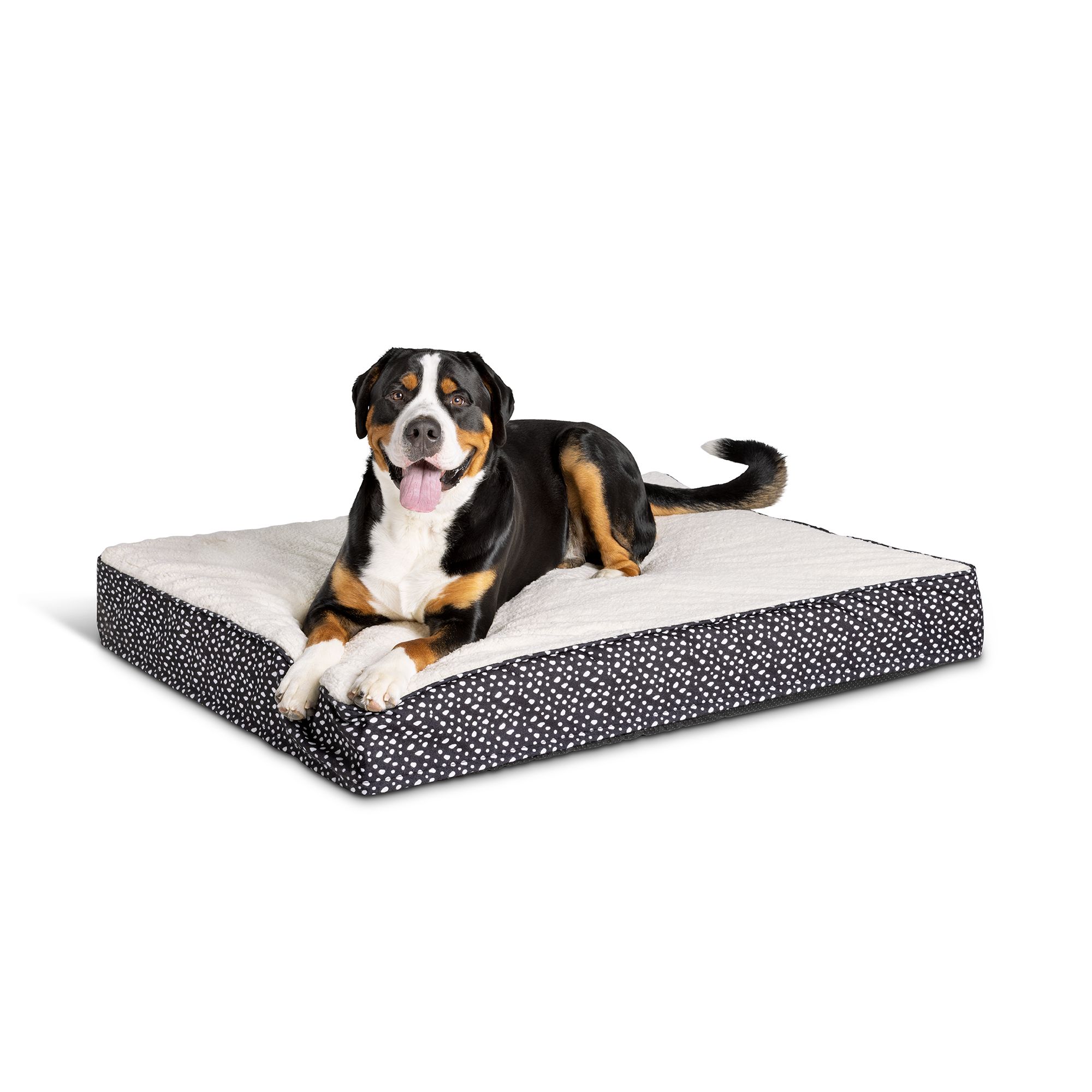 Petsmart orthopedic dog bed best sale