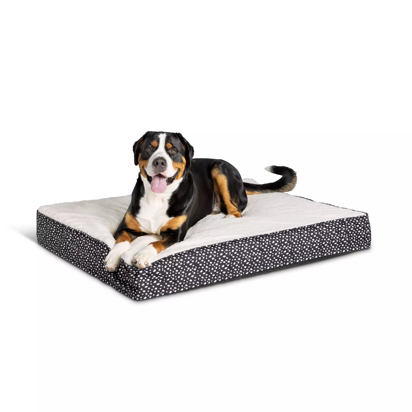 Top Paw Dotted Orthopedic Mattress Dog Bed