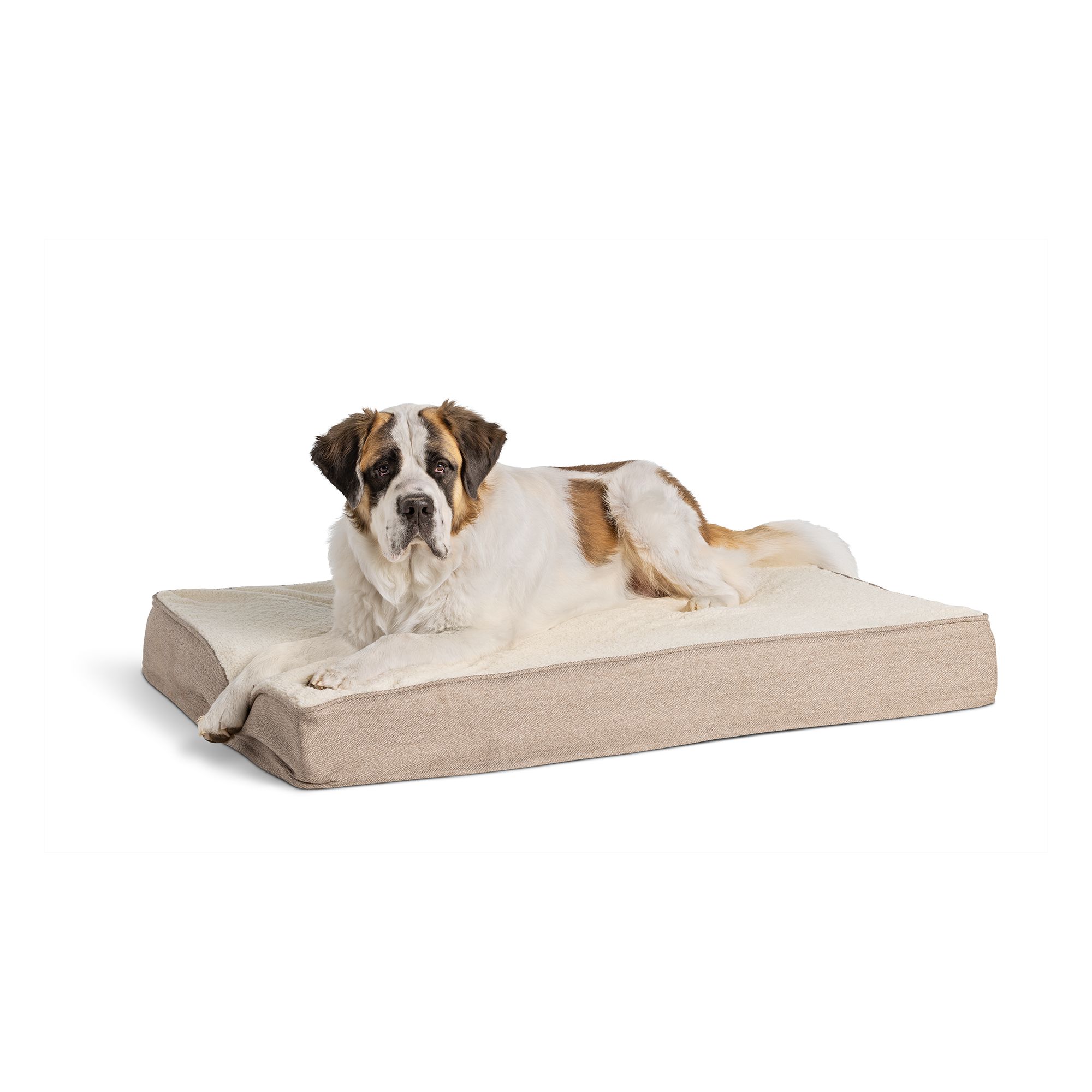 Orthopedic foam shop top paw