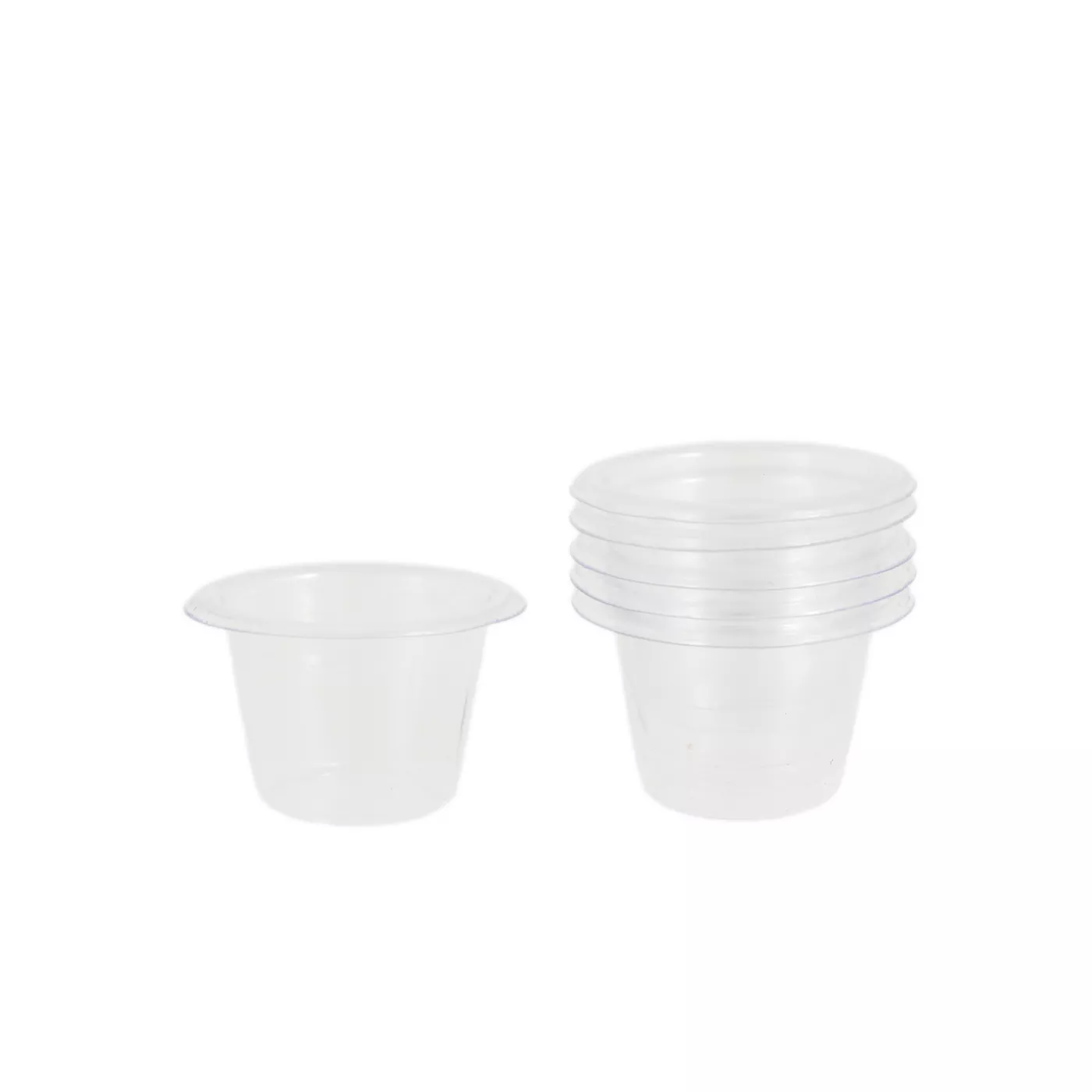 Gecko cups hotsell