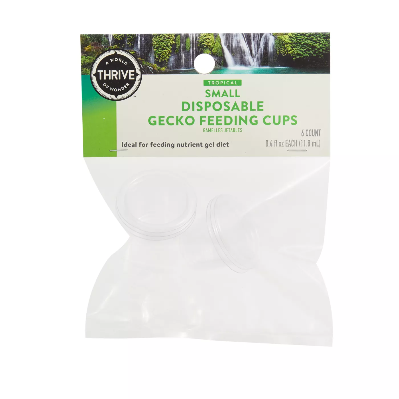 Fashion gecko feeding cups