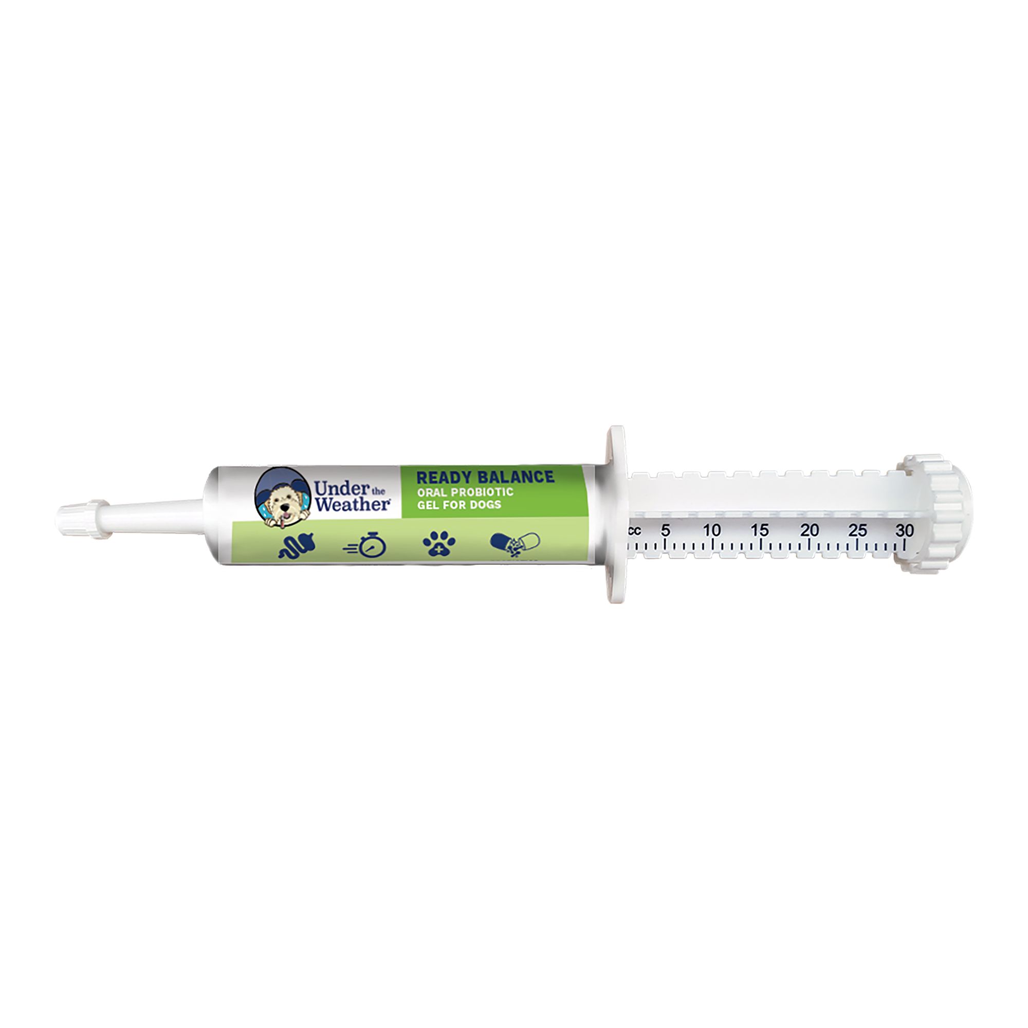 Feeding hotsell syringe petsmart