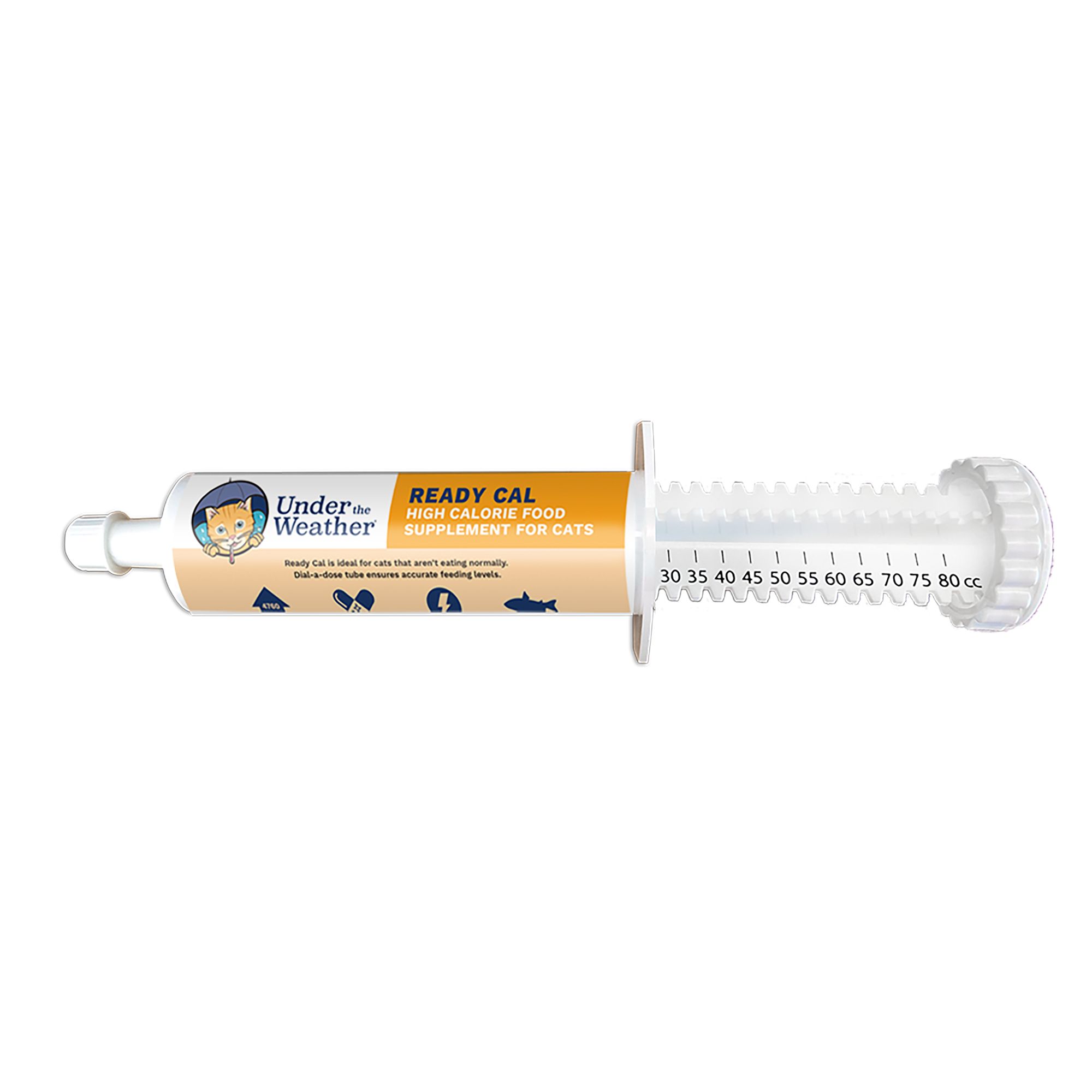 Feeding hotsell syringe petsmart