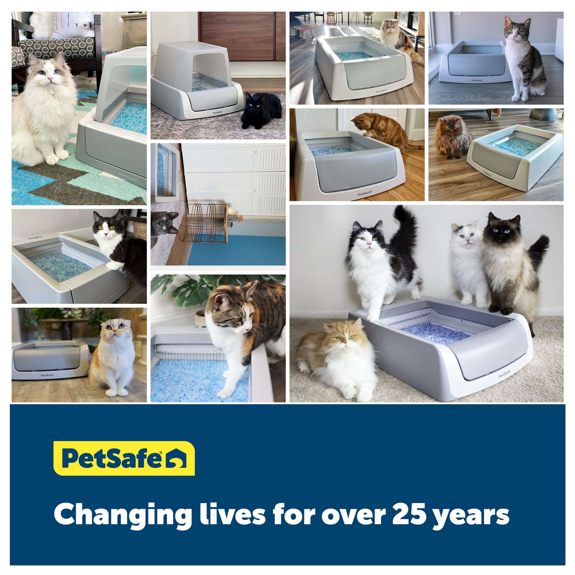 PetSafe® ScoopFree® Crystal Smart Front-Entry Self-Cleaning Litter Box - thumbnail 6
