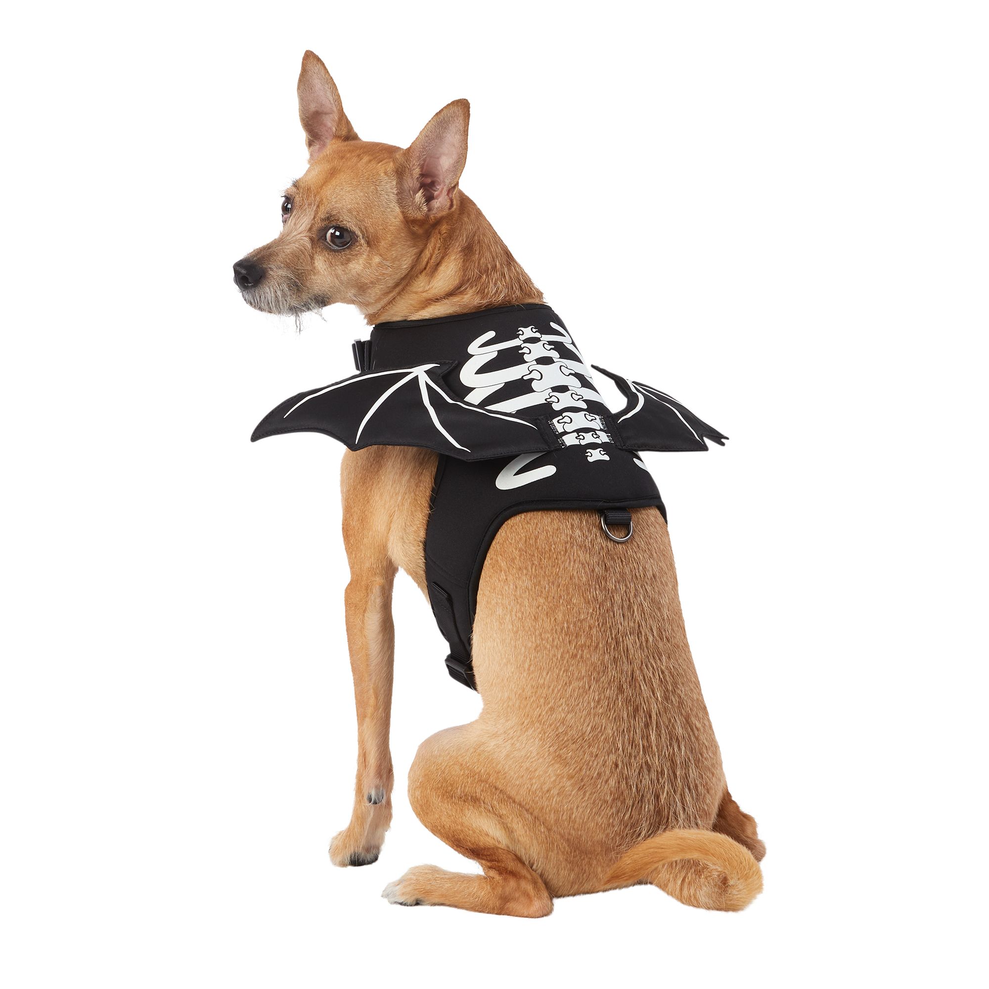 PetSmart Halloween, shop costumes for pets 