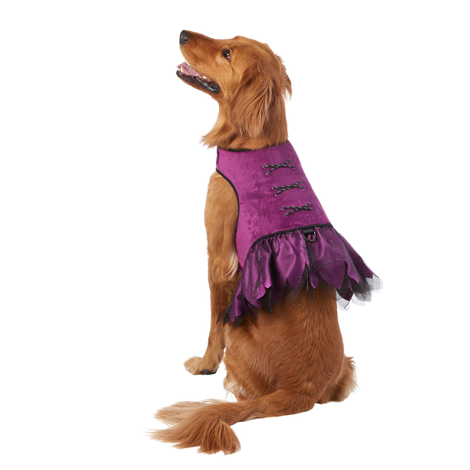 Thrills & Chills™ Halloween Witch Dress Costume Vest Dog Harness dog